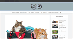 Desktop Screenshot of catspro.com